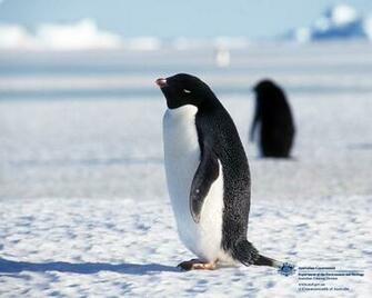Natures Mighty Pictures Nature Photos Wallpaper