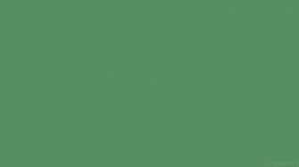Details More Than Sage Green Wallpaper Plain