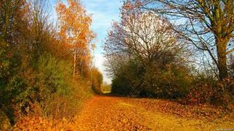Autumn Country Road Wallpaper Desktop iPad Background In