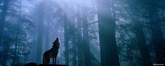 Wallpaper Animal Widescreen Dual Screen