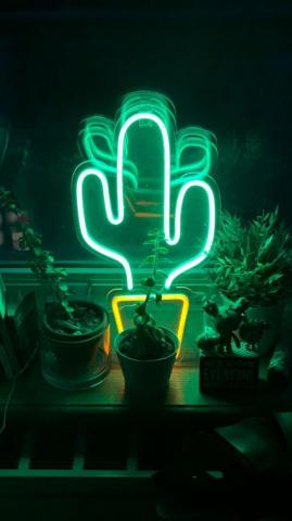 Wallpaper 4k Neon Cactus iPhone