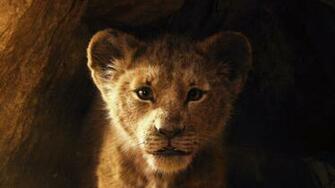Simba 5k Retina Ultra HD Wallpaper Background Image