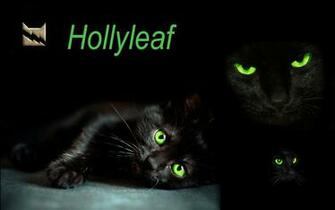 Warrior Cats HD Wallpaper Net