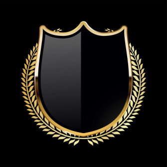 Stunning Shield Wallpaper
