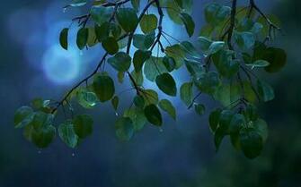 The Good Dinosaur Wallpaper Animationmoallpapers