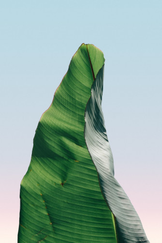 iPhone Wallpaper Best