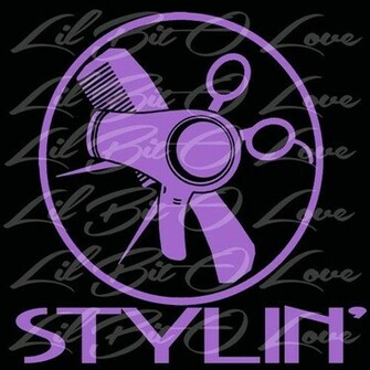 Stylin Vinyl Car Decal Cosmetology Hair Dresser Stylist Salon Window