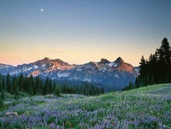 Mount Rainier Washington HD Background Desktop