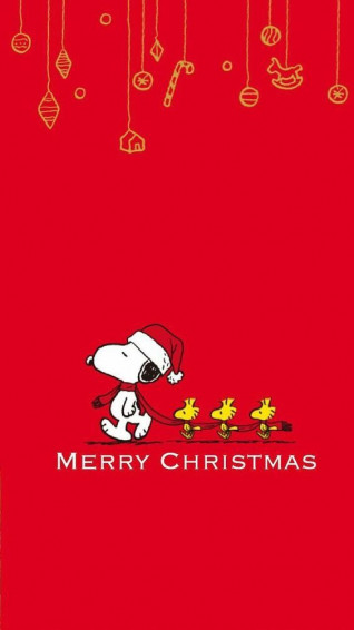 Merry Christmas From Snoopy And Woodstock