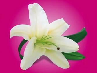 Related Pictures Designs Lily Flower And Frog Tattoo Wallpaper