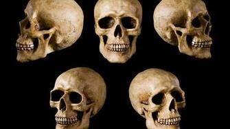 Skull Head Wallpaper