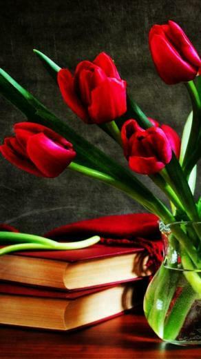 Red Tulips iPhone HD Background iPhone5 Wallpaper Gallery