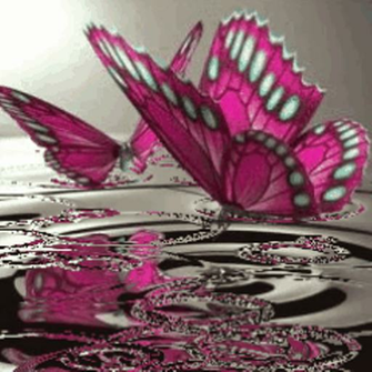 Butterflies On Water Live Wallpaper Kindle Fire Apps