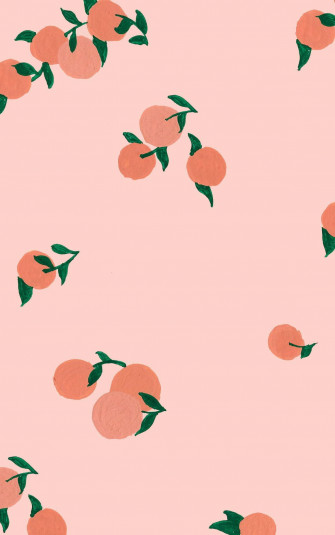 Peach Fruit Digital Art 5xy0yr4u7slis7qw Wallpaper