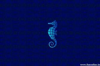 Seahorse Wallpaper Cute Water Creature Seahorses