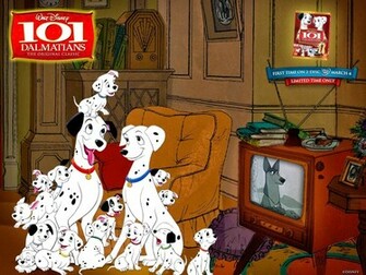 Dalmatians HD Wallpaper Photo