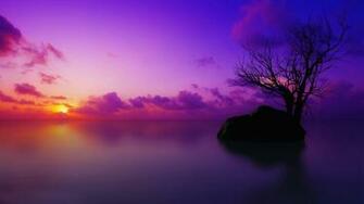 Purple Sunset Wallpaper