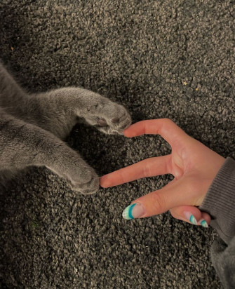 Kitten Heart Trend Finger Pictures Wallpaper