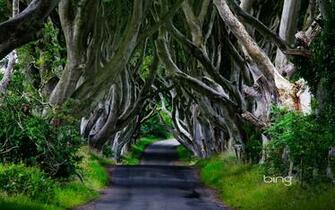 Irish Wallpaper Background Image