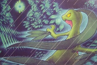 Pokemon Mystery Dungeon Grovyle And Hero Hot Girls Wallpaper