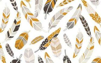 Best Feather Background