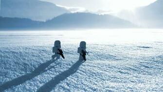 Macro Snow Star Wars Lego Wallpaper And Desktop