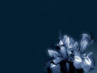 Modern Blue Wallpaper Cartoon