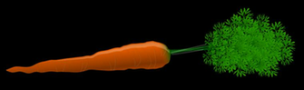 Carrot Stock Photo Illustration Of A
