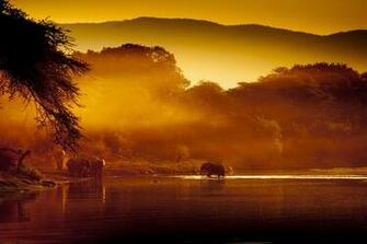 Safarisource Community Top Cheap African Safaris