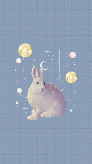 Bunny Aesthetic Wallpaper