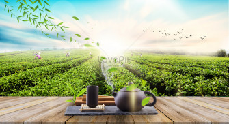 Tea Garden Background Creative Image Wallpaper