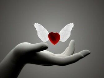 Falling In Love Wallpaper