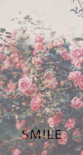 Pink Floral Lock Screen Wallpaper iPhone Locks