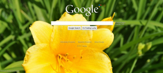 Google Adds Background Image Support To Its Home I Find A Sweet