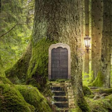 Amazon Csfoto Background For Magic Fantasy World