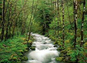 Wallpaper Nature Cool