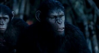 Dawn Of The Planet Apes Movie HD Wallpaper Hollywood Film