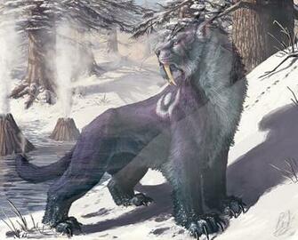 Glyphs Major Of Rip Shred Savage Roar