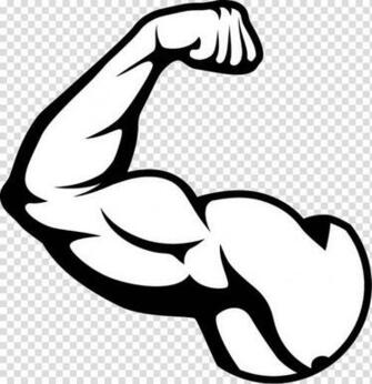 Arms Clipart Transparent Background