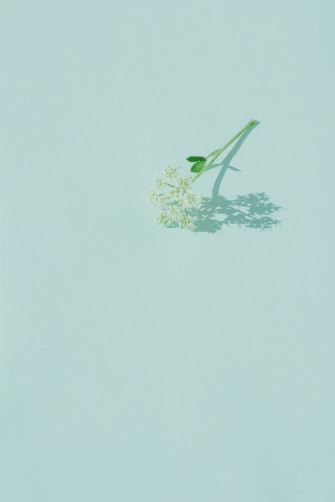 Pastel Green Aesthetic Laptop Wallpaper