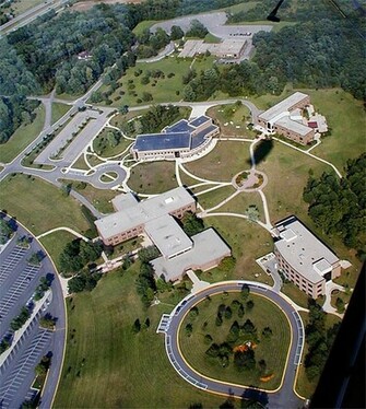 Indiana University Wallpaper