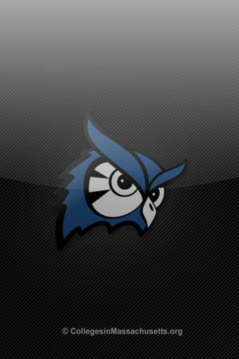 State Owls iPhone Wallpaper Westfield