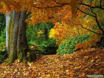 Autumn Wallpaper