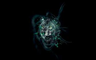 Cool Wolf Pics Alpha And Omega Wallpaper