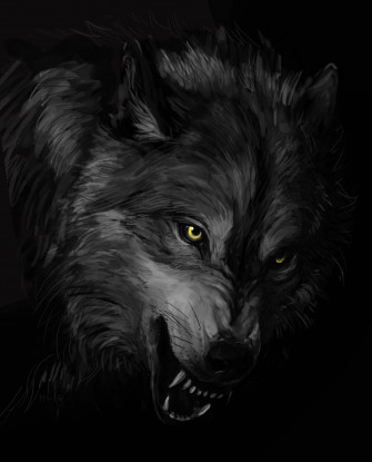 Cool Black Wolf Wallpaper