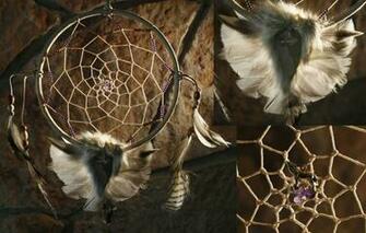 Wolf Dreamcatcher Wallpaper Image Pictures Becuo