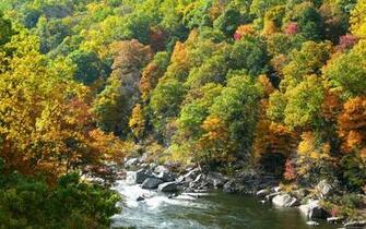 Colorado Autumn Desktop Wallpaper Widescreen Quotes