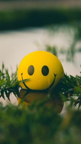 Wallpaper Ball Smile Smiley Grass Water