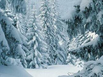 Computer Wallpaper Winter Scene