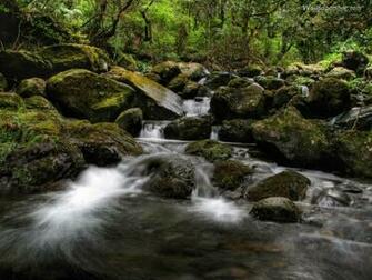 Unique Wallpaper Most Exotic River HD Part